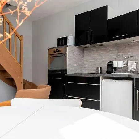 דירה Beau Duplex, Proche Zenith Et Palais Des Sports קאין